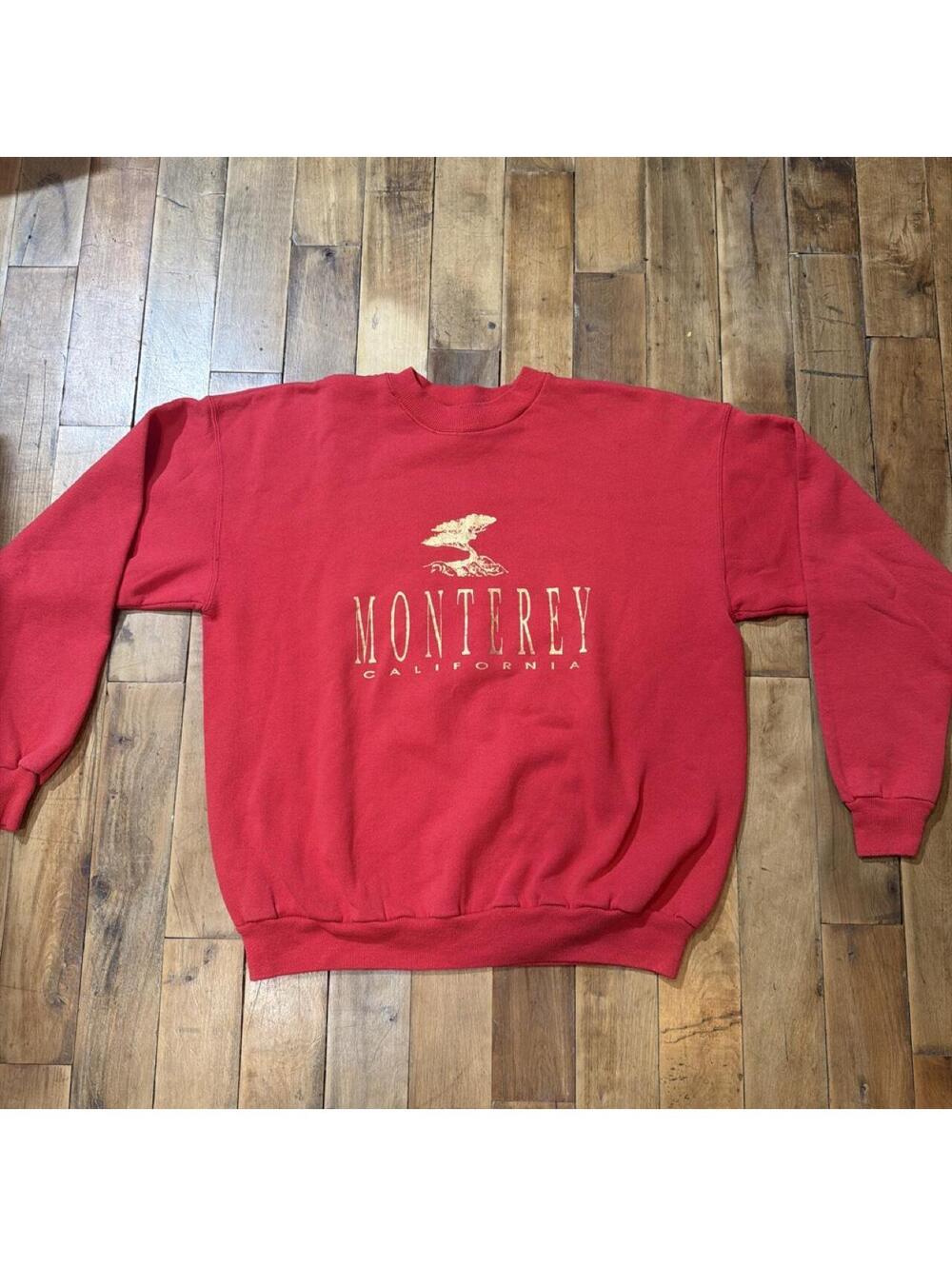 Hanes Men's Red Sweatshirt